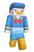 NETNPC