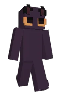 Front of chkhen's skin