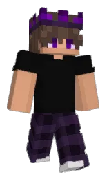 cod gray and tumbleweed Minecraft skin — Classic model