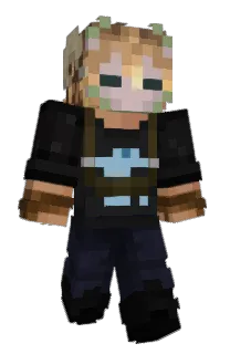 Front of FAWXD3N's skin