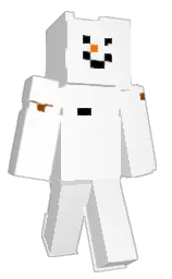 leo1220's Minecraft skin wearing the Migrator cape