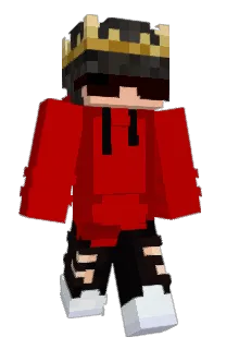 Front of InsaneRmK's skin