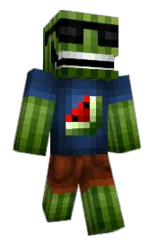 Skin preview