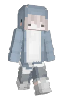 Front of hZip's skin