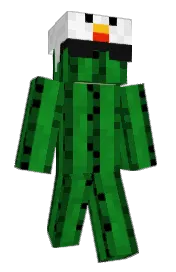 Skin preview