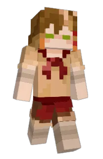 Front of Minecraft skin