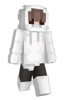 Front of IMFAIB's skin