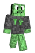 TurtleGuy3181