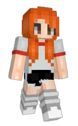 shirogi2's Minecraft skin wearing the Migrator cape