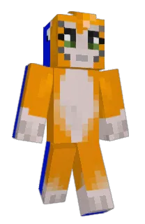 Partypants987's Minecraft skin