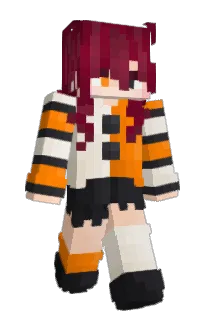 Front of polaroidcam's skin