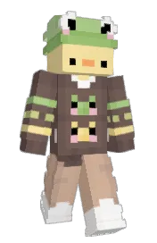 Skin preview