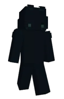 Front of Ammsii's skin