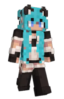 Front of spelart's skin