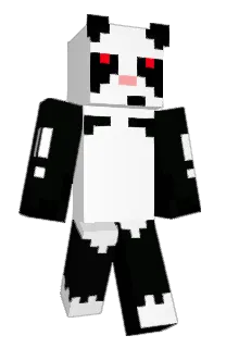 Front of Mr's skin