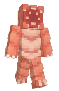 Front of Minecraft skin