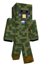 Skin preview