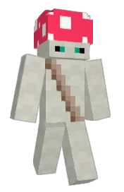 Skin preview