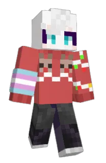 Front of PocketPallie's skin