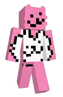 Front of 4123's skin