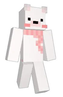 Front of PetardekYT's skin