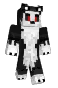 codeHusky