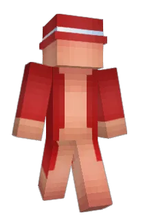 Front of Biel's skin