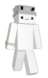 black white and silver Minecraft skin — Classic model — first worn by kot2023