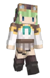 Skin preview