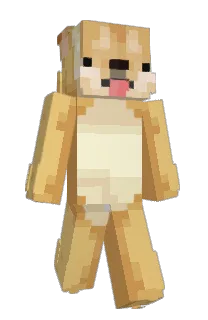 Corgied's Minecraft skin