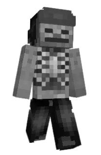 Front of pufferfih's skin