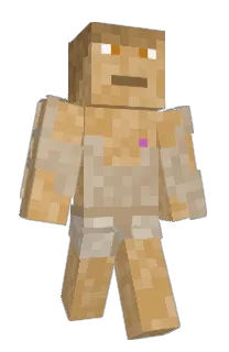 Front of Winderstat's skin