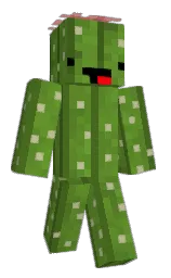 Classic Minecraft skin