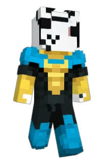 Front of FIDIPI's skin
