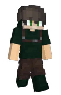 Front of EinNetro's skin