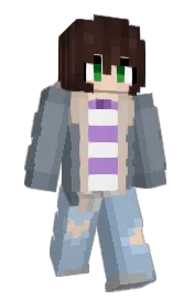 Skin preview