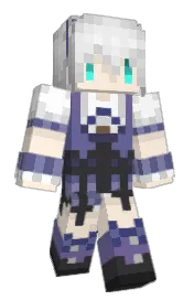 Skin preview