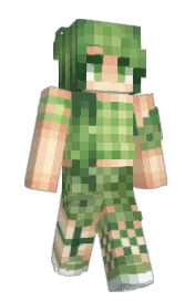 Skin preview