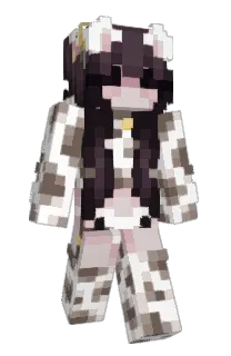 Front of oldreceipt's skin