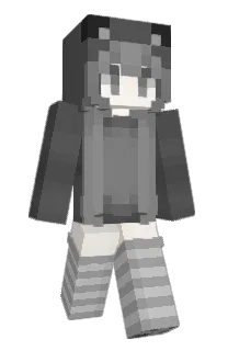Front of imsck's skin
