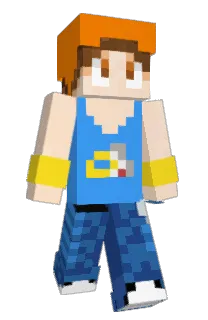 Front of Dingbat1991's skin