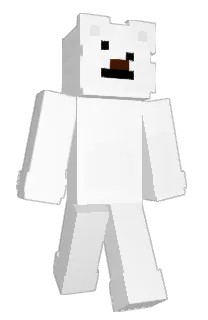 Front of Newpdi_'s skin