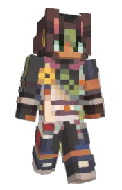 Skin preview