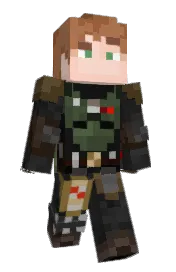 Skin preview