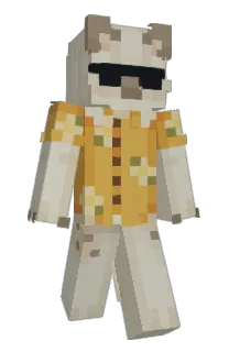 Front of wiidog's skin