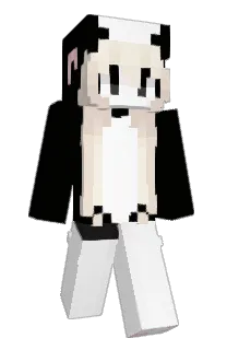 Front of 2R's skin