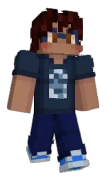 Minecraft skin — Classic model