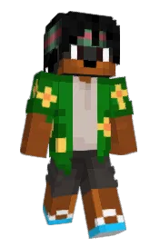 Skin preview