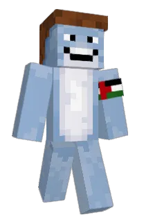 Front of CosmicJunk's skin