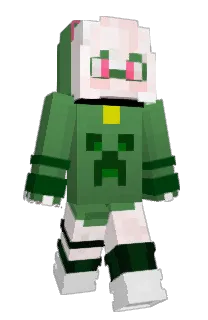 Front of Foxgamer80's skin
